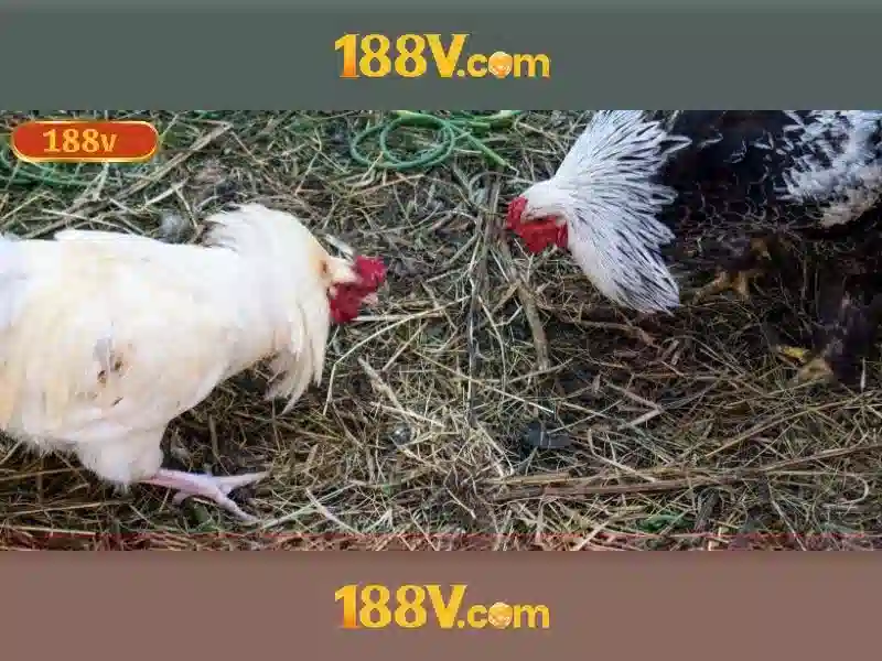 Mẹo chơi bắn cá 3 cây dễ ăn tiền nhà cái