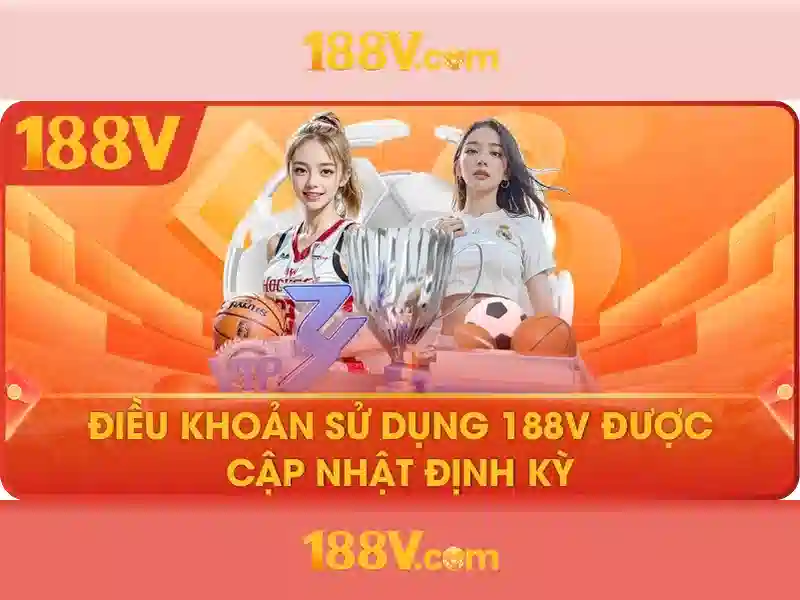 Trải nghiệm người dùng và phản hồi cộng đồng Trải nghiệm người dùng và phản hồi cộng đồng