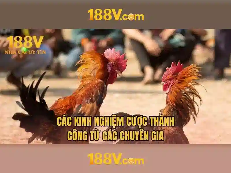 Mẹo chơi bắn cá 3 cây dễ ăn tiền nhà cái