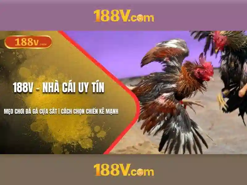188v com vn - Trải nghiệm người dùng và phản hồi cộng đồng
