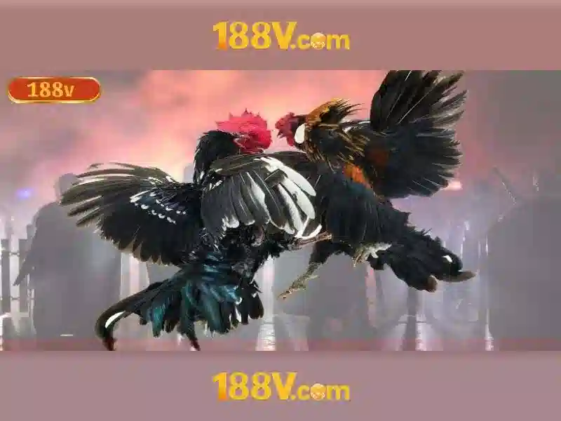 đăng ký 188v – tổng quan chủ đề và giá trị cốt lõi