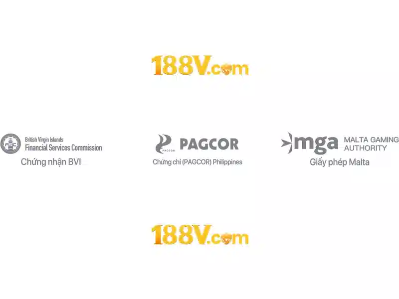188v com vn – Trải nghiệm và đánh giá đáng tin cậy