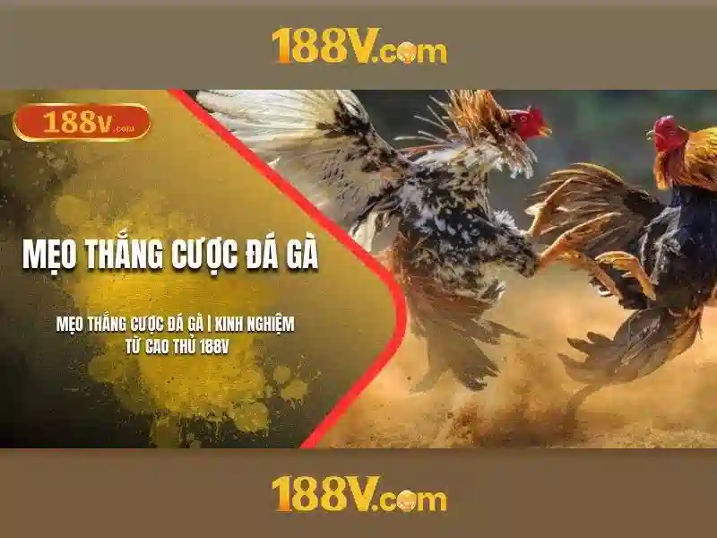 188v là gì?