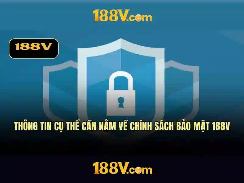 Trải nghiệm người dùng và phản hồi cộng đồng