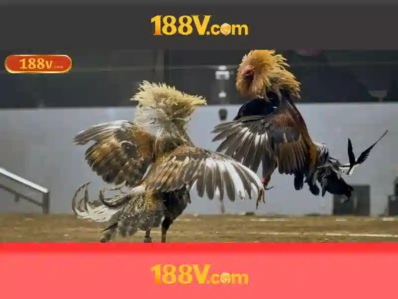 188V và hành trình hiểu biết về điện áp