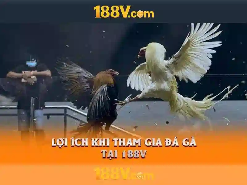 Khám phá 188V Khám phá 188V