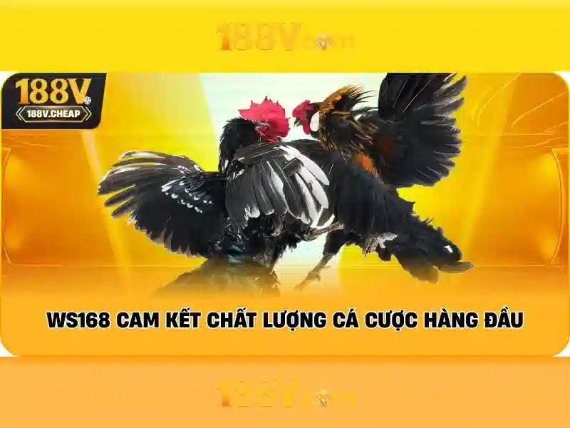 Mẹo chơi bắn cá 3 cây dễ ăn tiền nhà cái