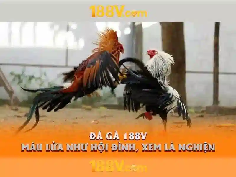 Lộ trình phát triển và thách thức