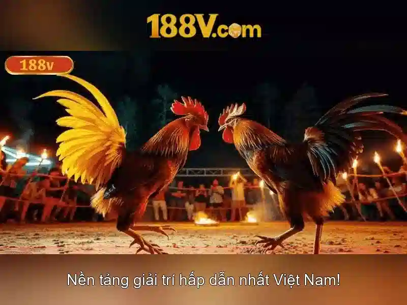 Mẹo chơi bắn cá 3 cây dễ ăn tiền nhà cái