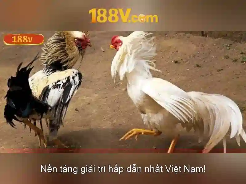 Tổng kết và triển vọng Tổng kết và triển vọng