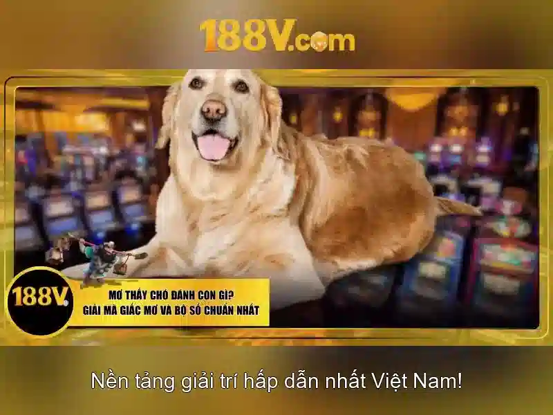 Mẹo chơi bắn cá 3 cây dễ ăn tiền nhà cái