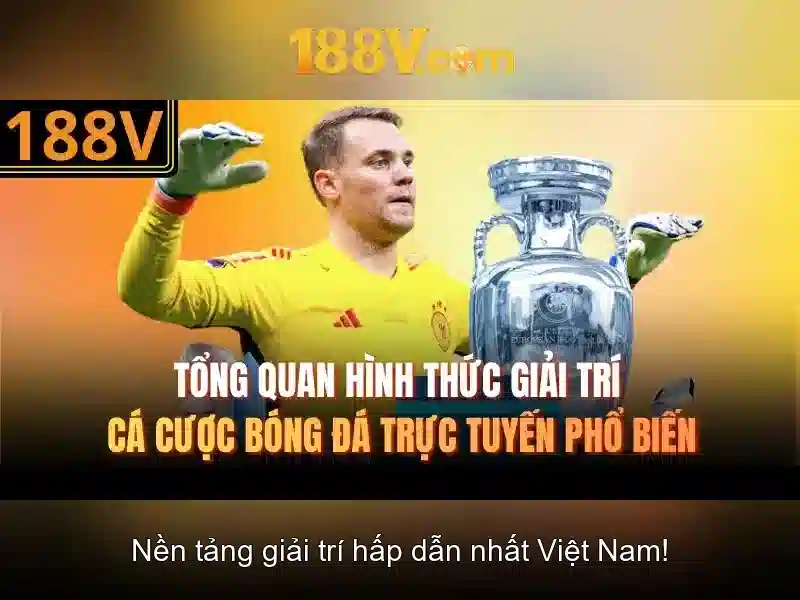 Trải nghiệm người dùng và phản hồi