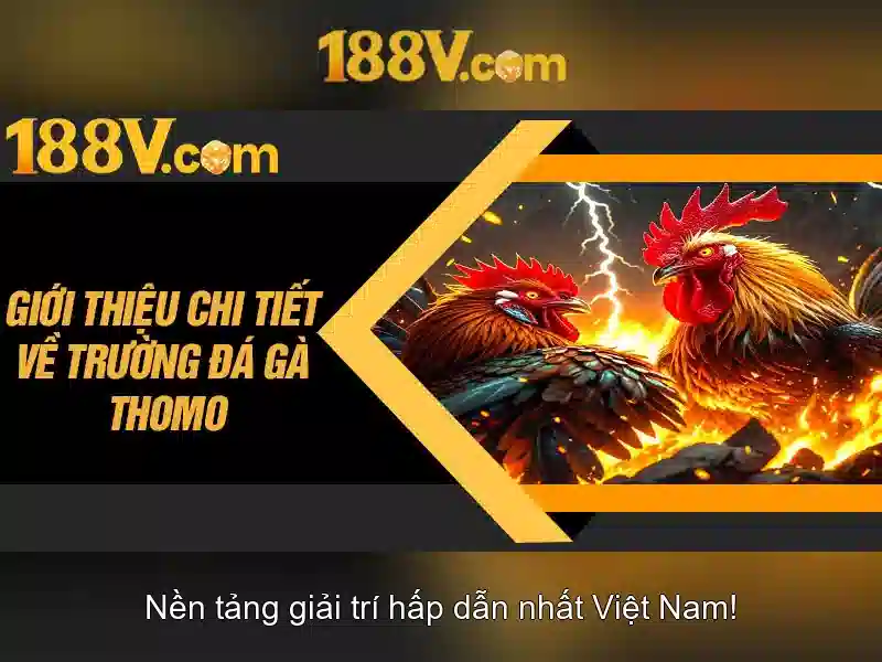 Các sản phẩm và dịch vụ của tại app 188v