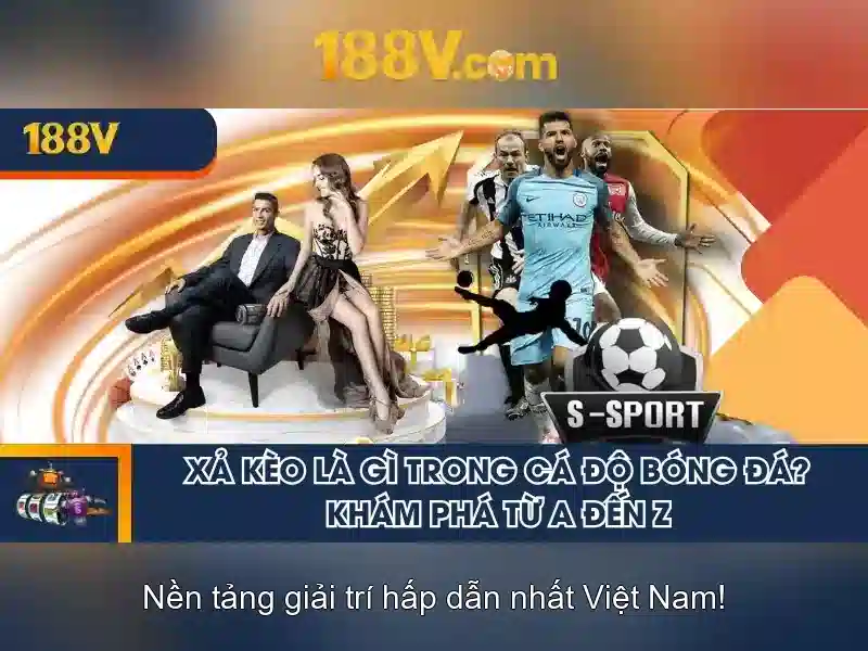 Phong cách và cảm nhận