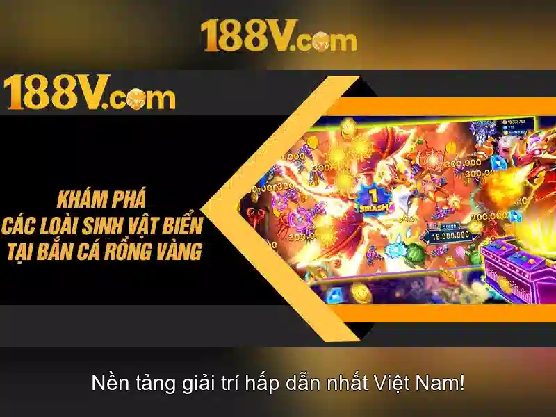 188v: Hành trình của một ký tự bí ẩn