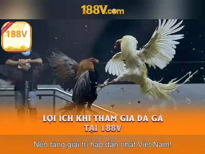 Mẹo chơi bắn cá 3 cây dễ ăn tiền nhà cái