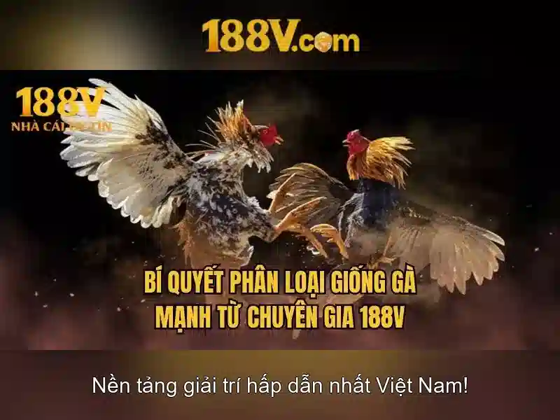 Khám phá 188v: một khái niệm và nguồn cảm hứng