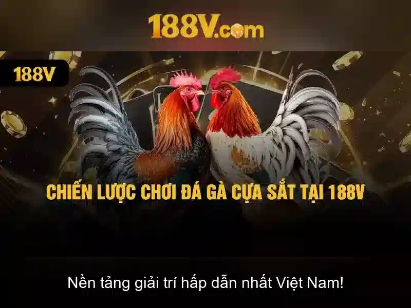 An toàn và hướng dẫn thực hành