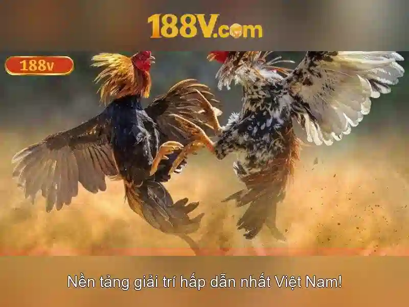 Khám phá 188v
