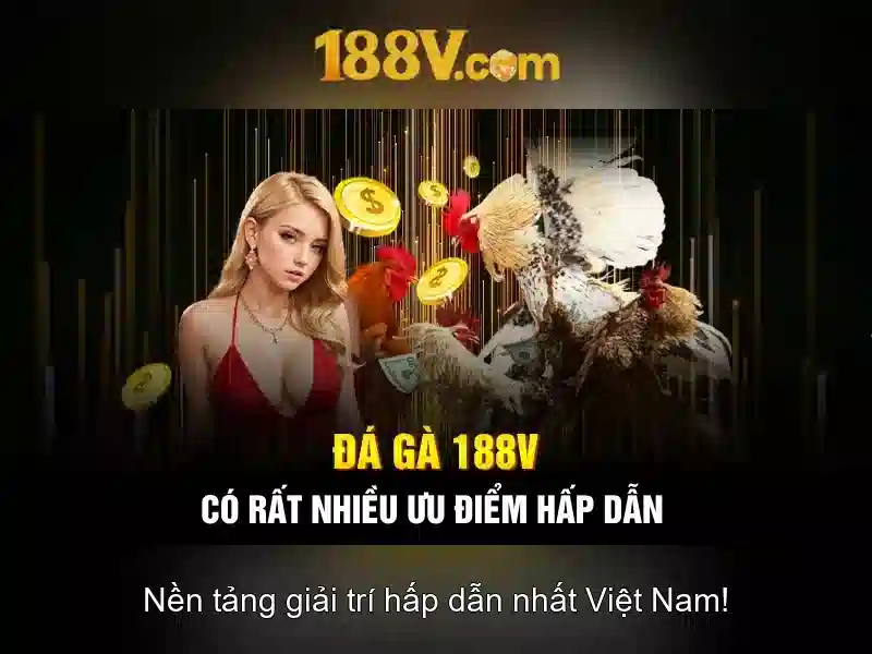 Âm hưởng của dữ liệu và không gian ảo