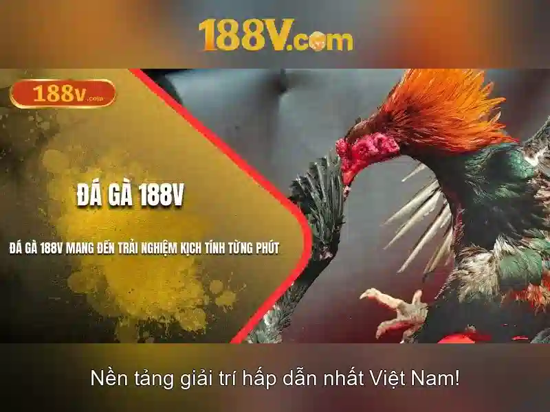 Ứng dụng và nguồn điện trong thực tế Ứng dụng và nguồn điện trong thực tế