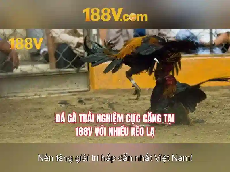 188V là gì? Hiểu biết cơ bản về điện áp 188V