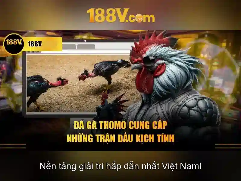 Khám phá 188V: một khái niệm và thực hành