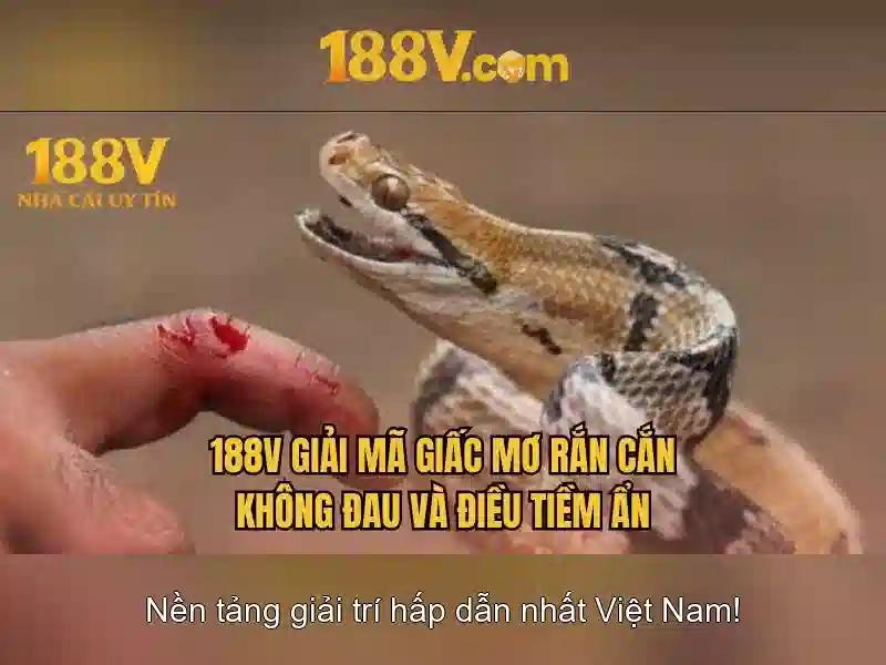 app 188v – Tổng quan chủ đề và giá trị cốt lõi