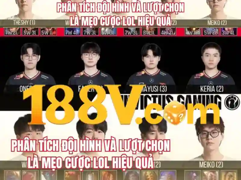 Trải nghiệm người dùng và phản hồi cộng đồng